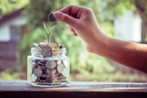 young plant in coins